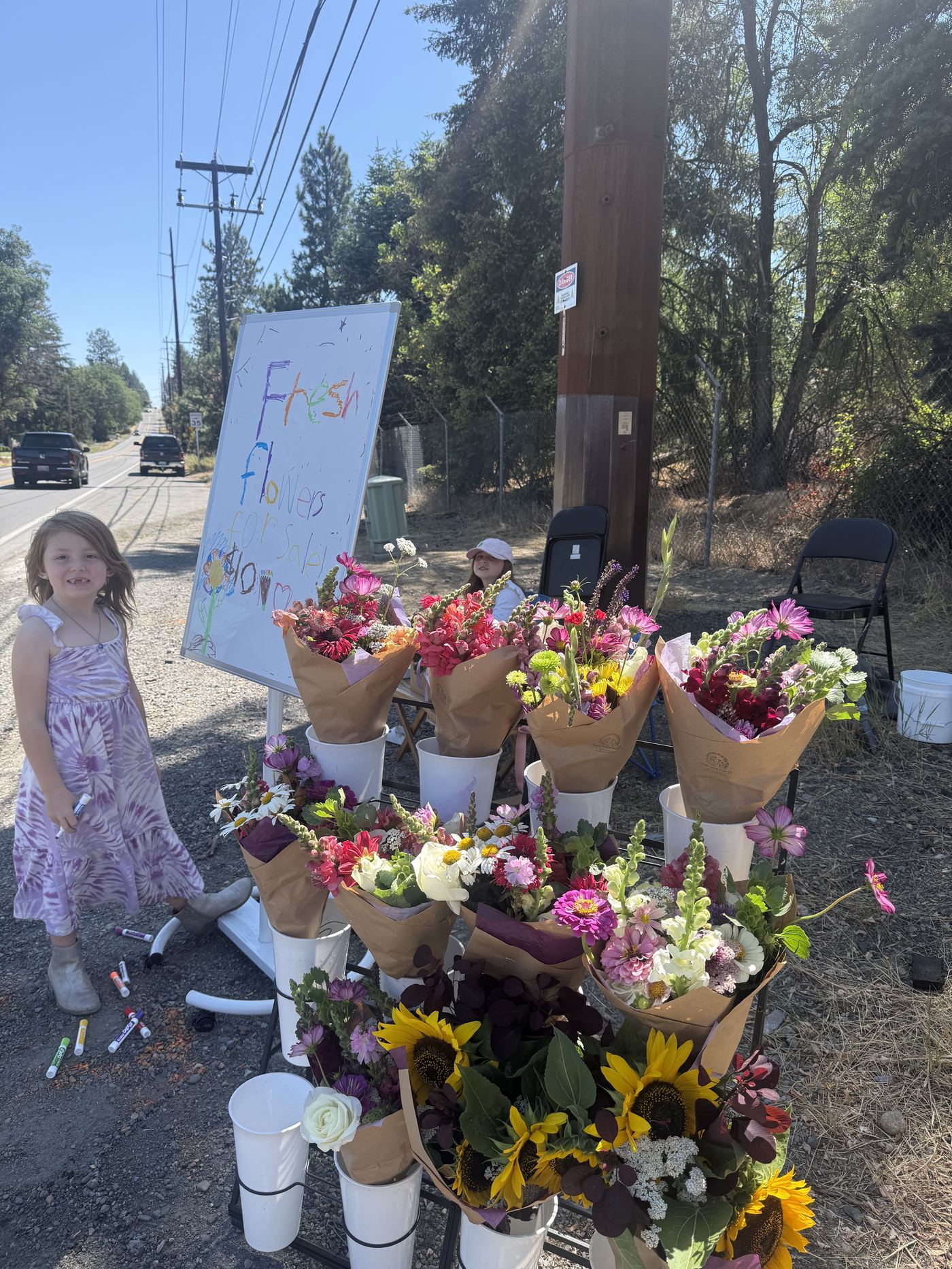 Hand-lettered roadside sign reading Fresh Flowers for Sale, next to buckets of freshly cut sunflowers, snapdragons, cosmos, and zinnias.